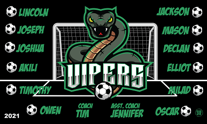 B2881 Vipers 3x5 Banner 