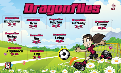 B2890 Dragonflies 3x5 Banner 