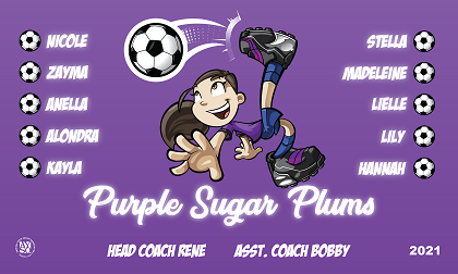 B2844 Purple Sugar Plums 3x5 Banner 