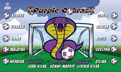 B3097 Purple Cobras 3x5 Banner 