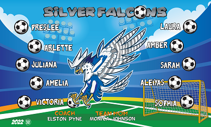 B3100 Silver Falcons 3x5 Banner 