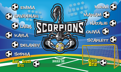 B3116 Scorpions 3x5 Banner 
