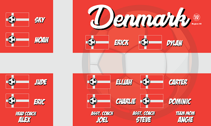B3183 Denmark 3x5 Banner 