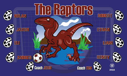 B3140 Raptors 3x5 Banner 