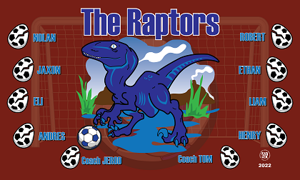 B3139 Raptors 3x5 Banner 