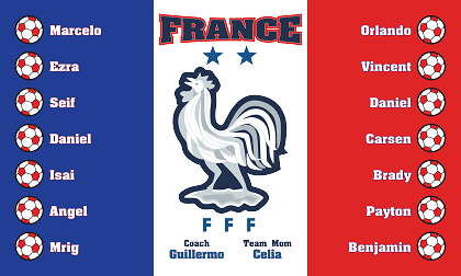 B3151 France 3x5 Banner 
