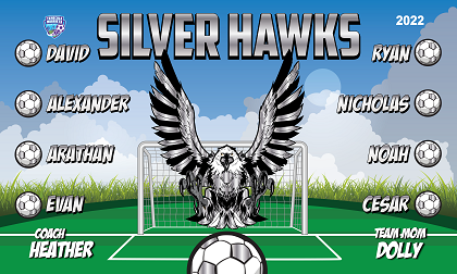 B3155 Silver Hawks 3x5 Banner 