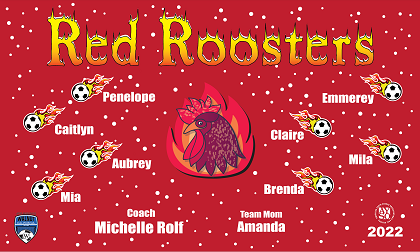 B3157 Red Roosters 3x5 Banner 