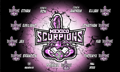 B3161 Mexico Scorpions 3x5 Banner 