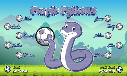B3194 Purple Pythons 3x5 Banner 