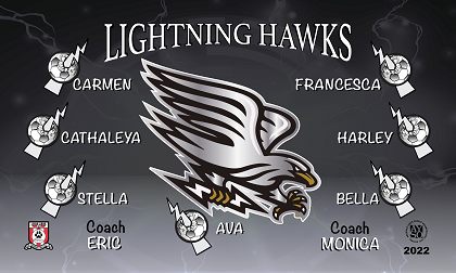 B3213 lightning Hawks 3x5 Banner 