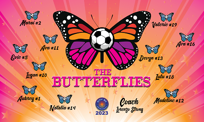 B3535 Butterflies 3x5 Banner 