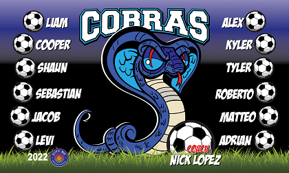 B3217 Cobras 3x5 Banner 