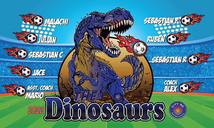 B3218 Dinosaurs 3x5 Banner 