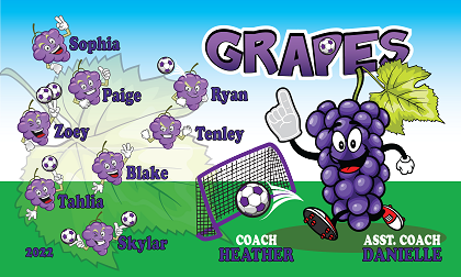 B3234 Grapes 3x5 Banner 