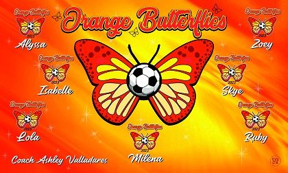 B3551 Orange Butterflies 3x5 Banner 