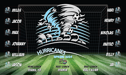 B3690 Hurricanes 3x5 Banner 