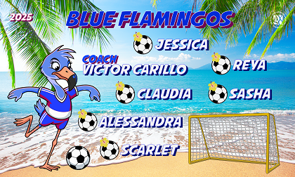B3963 Blue Flamingos  3x5 Banner 