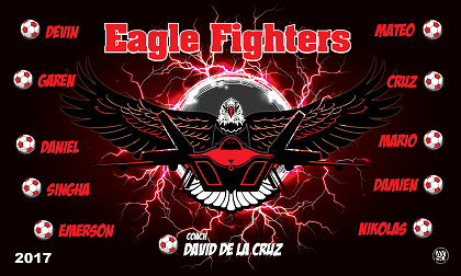 B2159 Eagle Fighters 3x5 Banner 