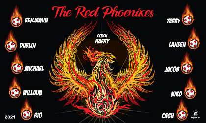 B2924 Red Phoenixes 3x5 Banner 