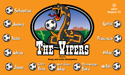 B2926 The Vipers 3x5 Banner 