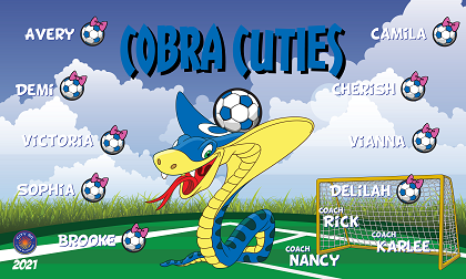 B2934 Cobra Cuties 3x5 Banner 