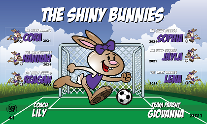 B2937 The Shiny Bunnies 3x5 Banner 