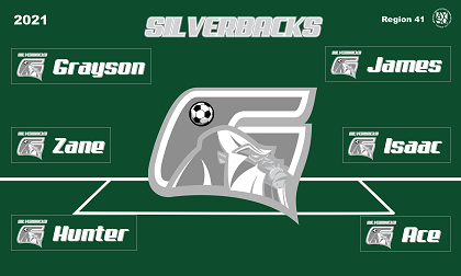 B2942 Silverbacks 3x5 Banner 