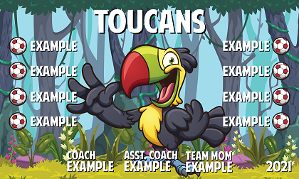 B2951 Toucans 3x5 Banner 