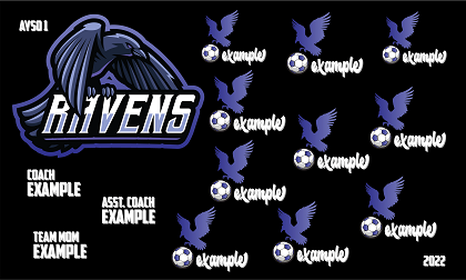 B2978 Ravens 3x5 Banner 