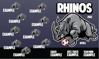 B2981 Rhinos 3x5  Banner 