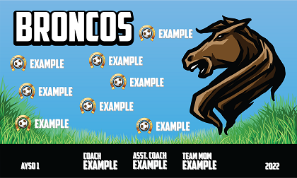 B2982 Broncos 3x5 Banner 