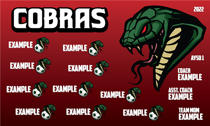 B2983 Snakes 3x5 Banner 