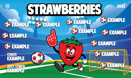 B2988 Strawberries 3x5 Banner 
