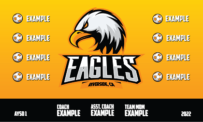 B2992 Eagles 3x5 banner 