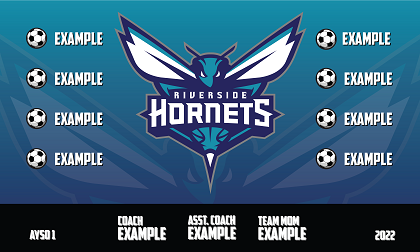 B3002 Hornets 3x5 Banner 