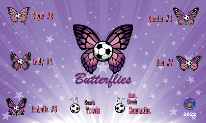 B3031 Butterflies 3x5 Banner 
