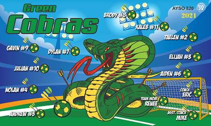 B3081 Green Cobras 3x5 Banner 