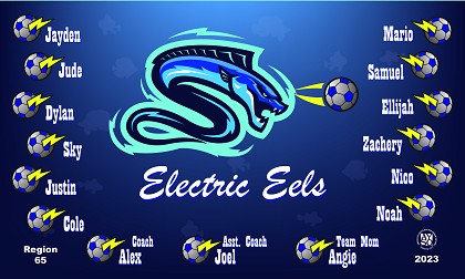 B3349 Electric Eels 3x5 Banner 