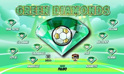 B3350 Green Diamonds 3x5 Banner 