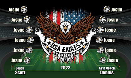 B3500 USA Eagles 3x5 Banner 