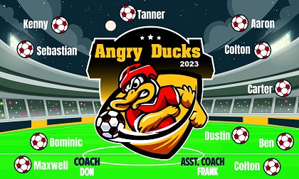 B3511 Angry Ducks 3x5 Banner 