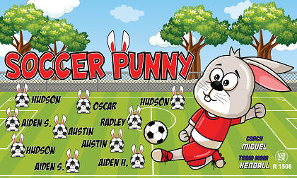 B3512 Soccer Punny 3x5 Banner 