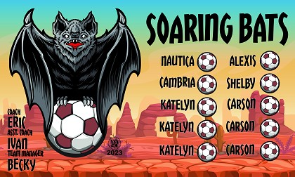 B3516 Soaring Bats 3x5 Banner 