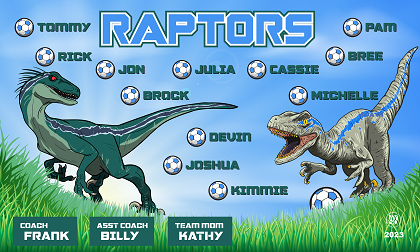 B3538 Raptors 3x5 Banner 