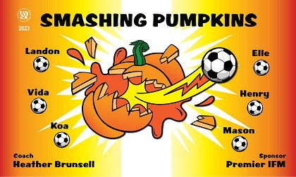 B3560 Smashing Pumpkins 3X5 Banner 