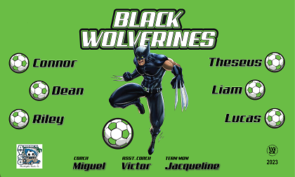 B3596 Black Wolverines 3x5 Banner 