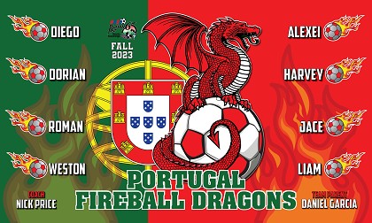 B3603 Portugal fireball Dragons 3x5 Banner 
