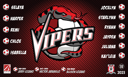 B3618 Vipers 3x5 Banner 