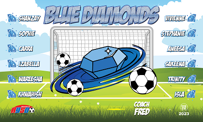 B3635 Blue Diamonds 3x5 Banner 
